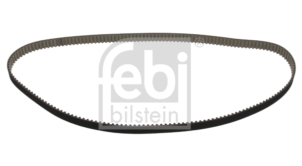 Timing Belt